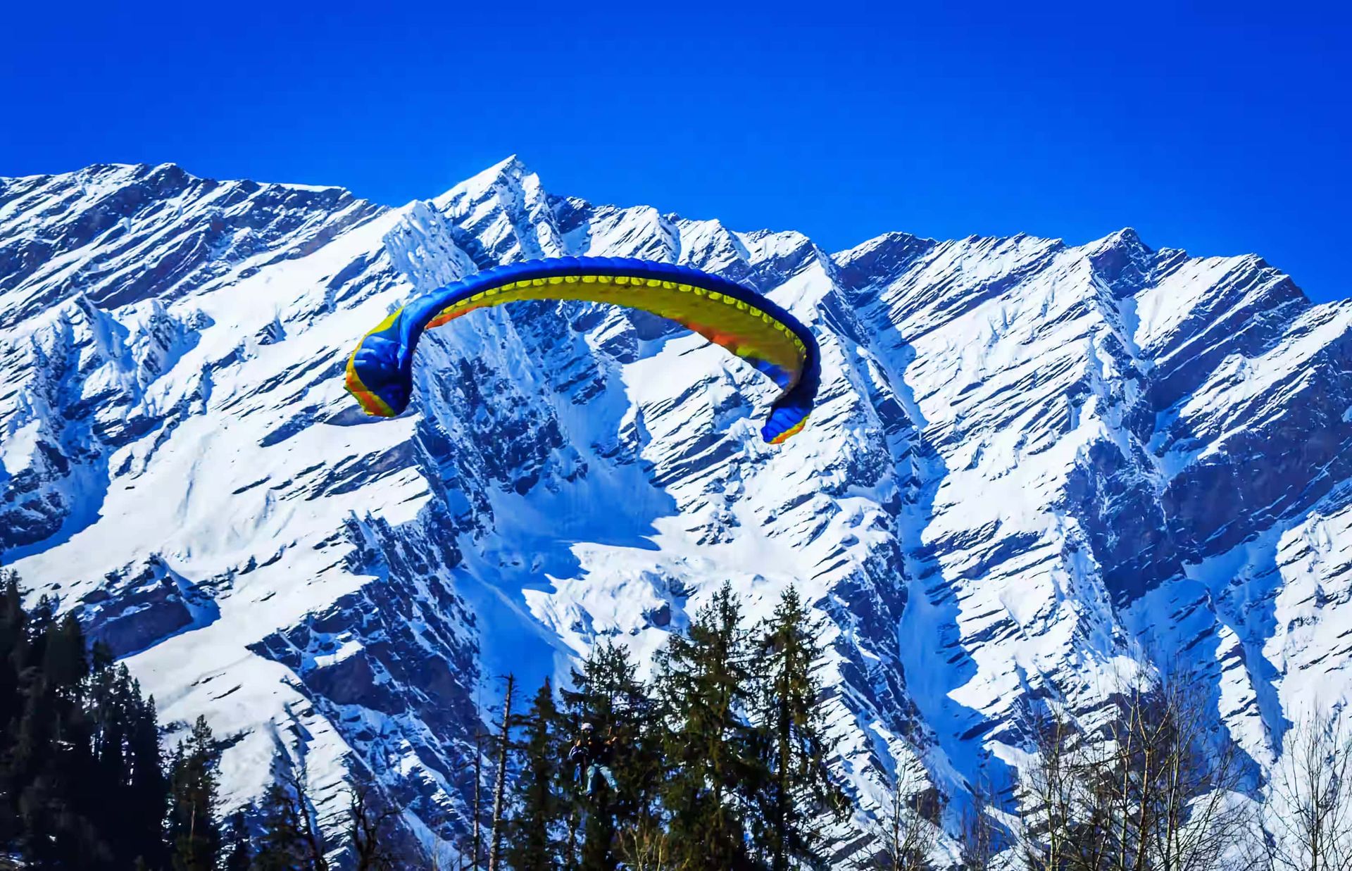 Manali Group Escape — photo 4
